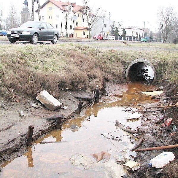 - To muszą być jakieś środki toksyczne. Woda  nie zamarza nawet podczas ostrych mrozów -  mówią mieszkańcy.