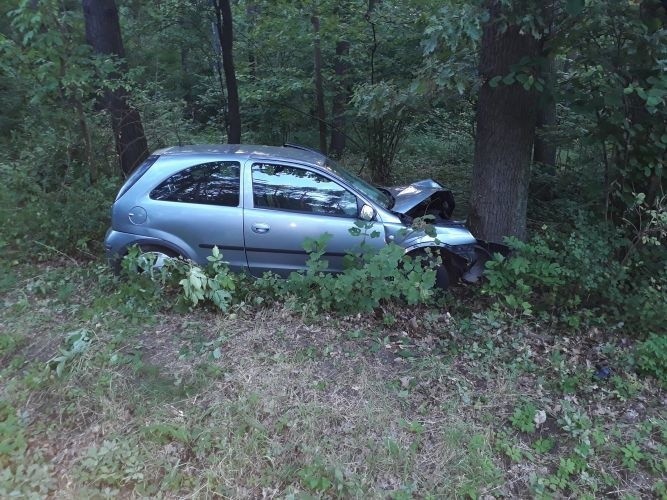 Groźny wypadek w Łoniowie. Samochód wypadł z krajowej trasy i uderzył w drzewo