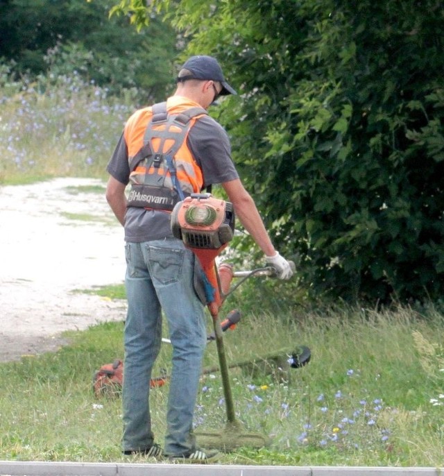 Coraz częściej słychać warkot kosiarek. Jest uciążliwy dla mieszkańców, jeśli koszenie odbywa o świcie, albo w dni wolne od pracy.