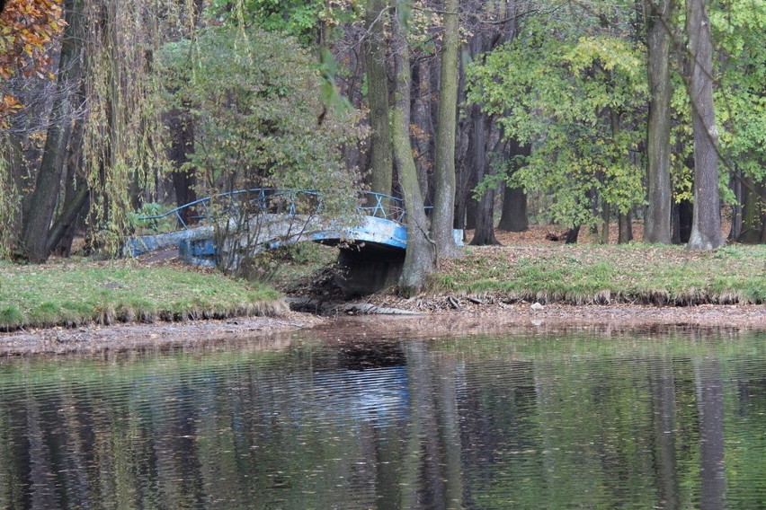 Tak wygląda park Zielona w jesiennych barwach