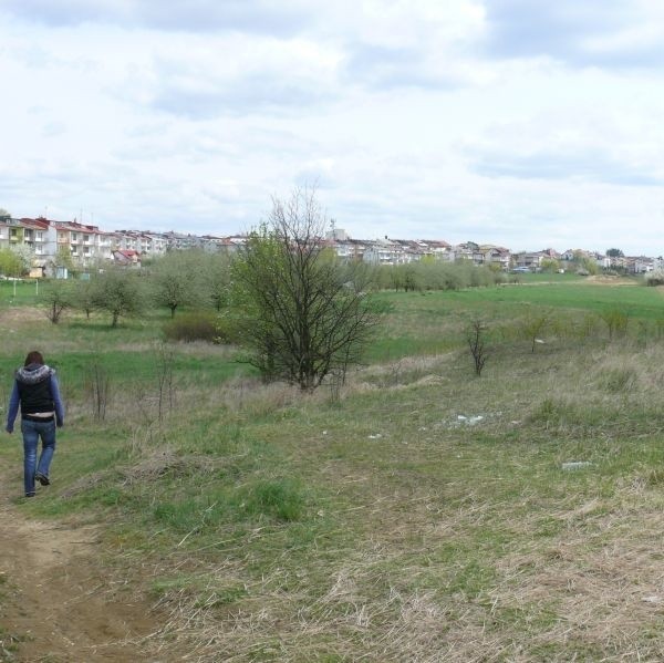 Przez dziesięciolecia te tereny między osiedlami Wschód i Ogrody w Staszowie leżały ugorem. Burmistrz Andrzej Iskra chce zbudować tu park wypoczynku, rozrywki i rekreacji.