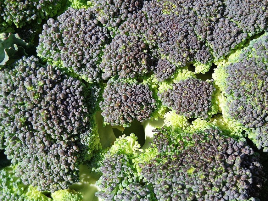 Brokuły należą do grupy warzyw, które psują się najszybciej....