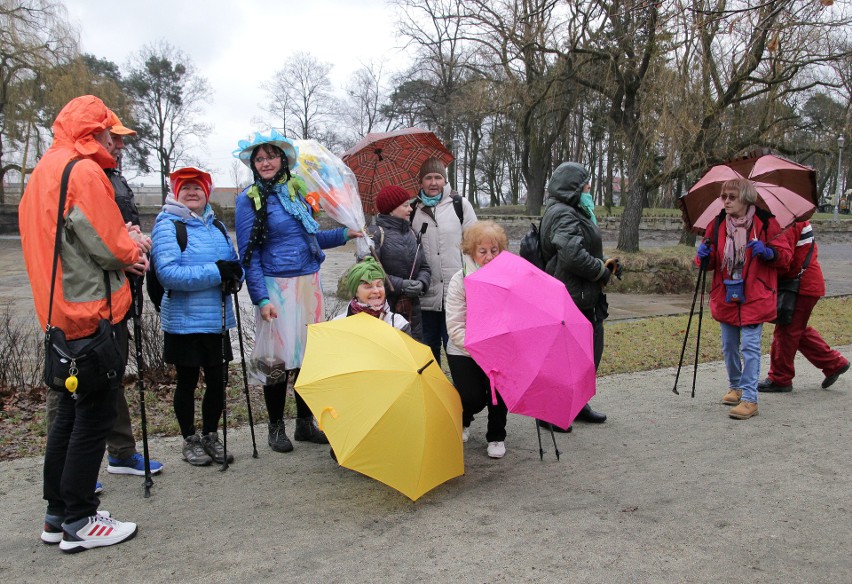 Mimo padającego deszczu grudziądzkie patyczaki...