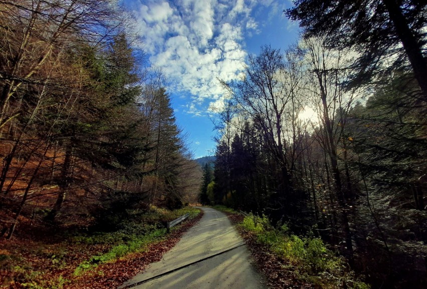 Beskid Sądecki. Jesienna wycieczka do Bacówki nad Wierchomlą. Zobaczcie magiczne zdjęcia 