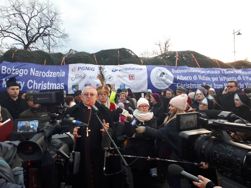 Bożonarodzeniowa choinka dla papieża. Dziś rozbłysnęła w Watykanie! (zdjęcia, wideo)