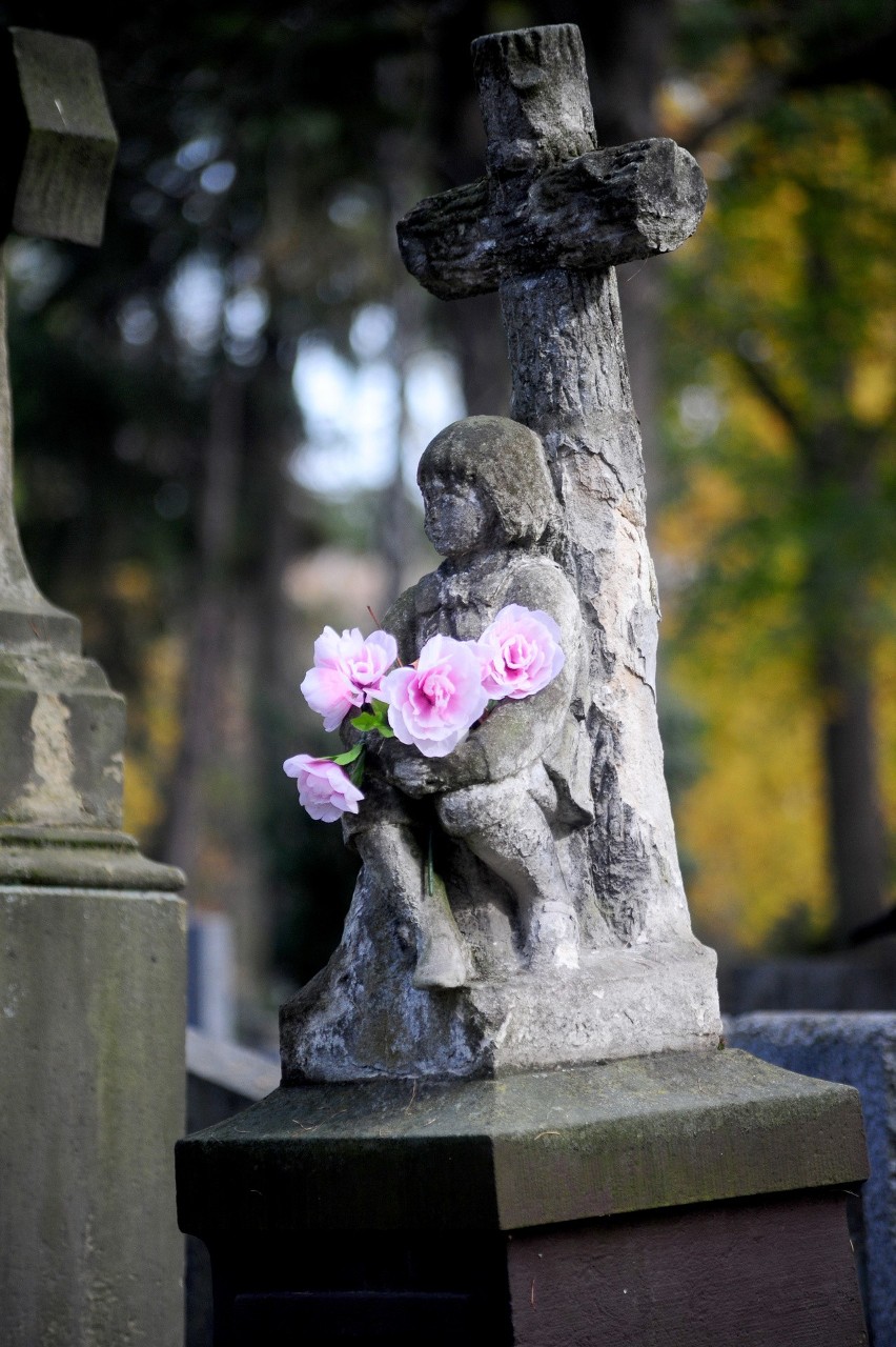Wielkie sprzątanie Cmentarza Rakowickiego w Krakowie