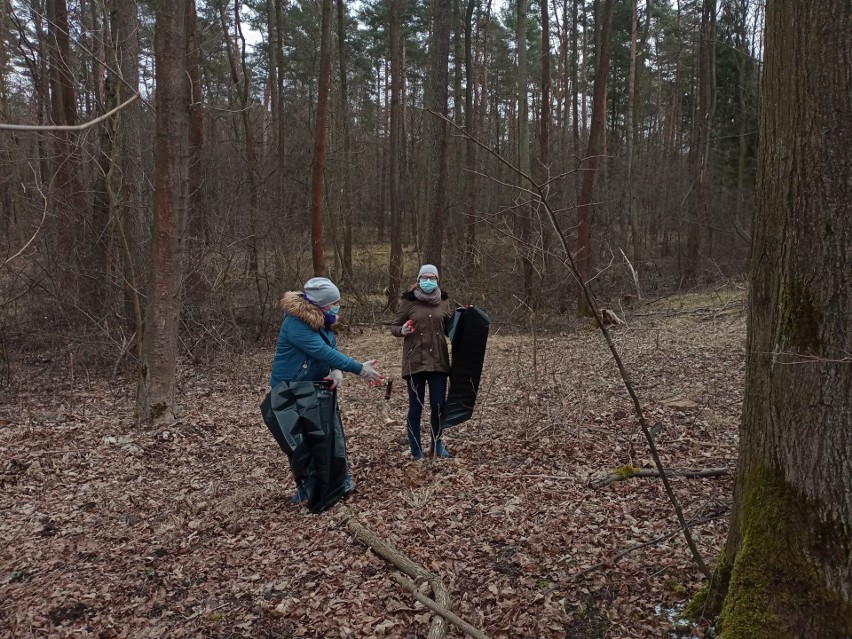 Akcja sprzątania lasy w Tenczynku w sobotę trwała trzy...