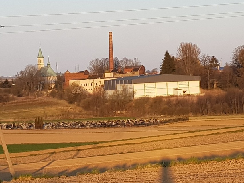 Kompleks poprzemysłowy, na którym znajdowała się paszarnia,...