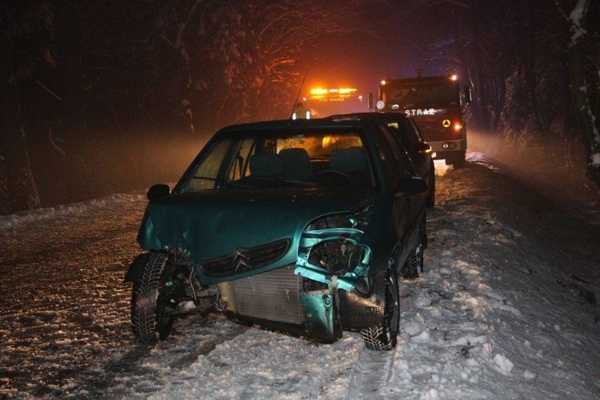 Citroen uderzył w drzewo.