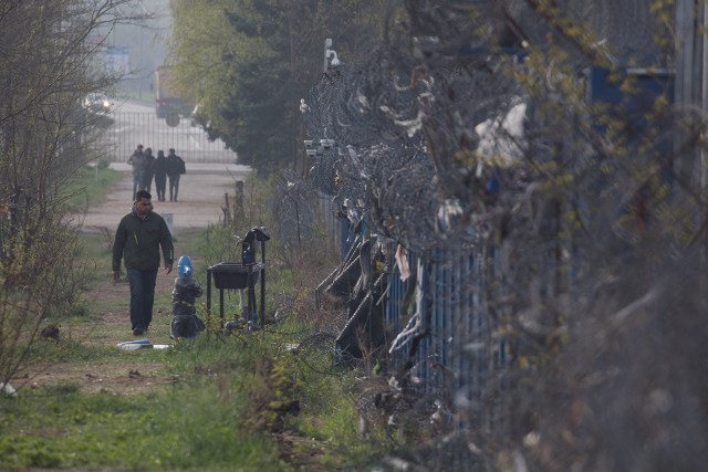 Migranci spacerują w pobliżu strefy tranzytowej stacji granicznej Tompa na granicy Serbii i Węgier. Fot. archiwum.