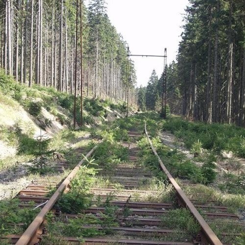 Pięknie położony szlak kolejowy z Wałcza do Kalisza przedstawia obraz nędzy i rozpaczy. Złomiarze - oprócz szyn - rozmontowali niemal wszystko, co możliwe. Teraz wycinają metalowe podpory, drewniane "poszły" kilka lat temu.