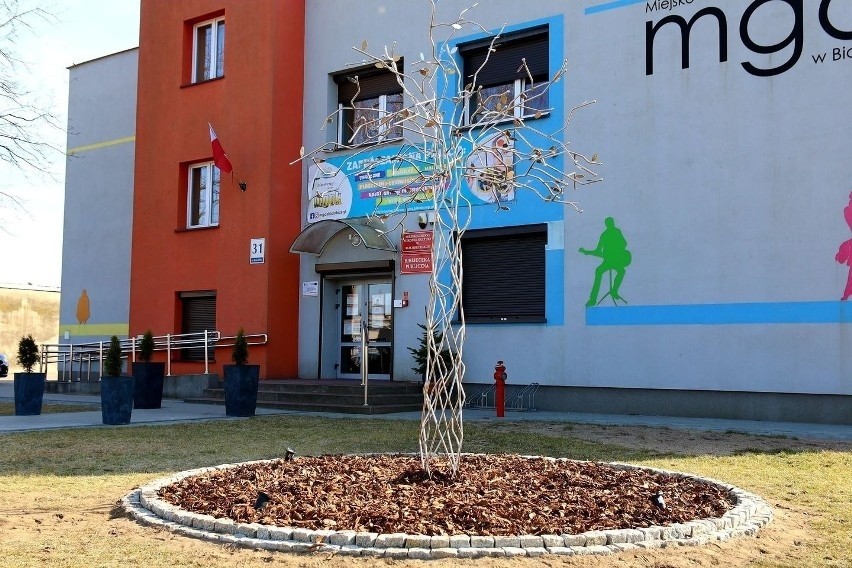 Białobrzeskie Centrum Kultury Białe Brzegi z dotacją dla biblioteki. Będą spotkania z pisarzami, występ kabaretu i szkolenia