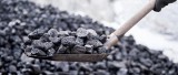 Takie są ceny węgla w województwie świętokrzyskim. Czy tonę węgla można kupić za 1,5 tysiąca złotych? Tak - wiemy nawet gdzie - 20.11.2022