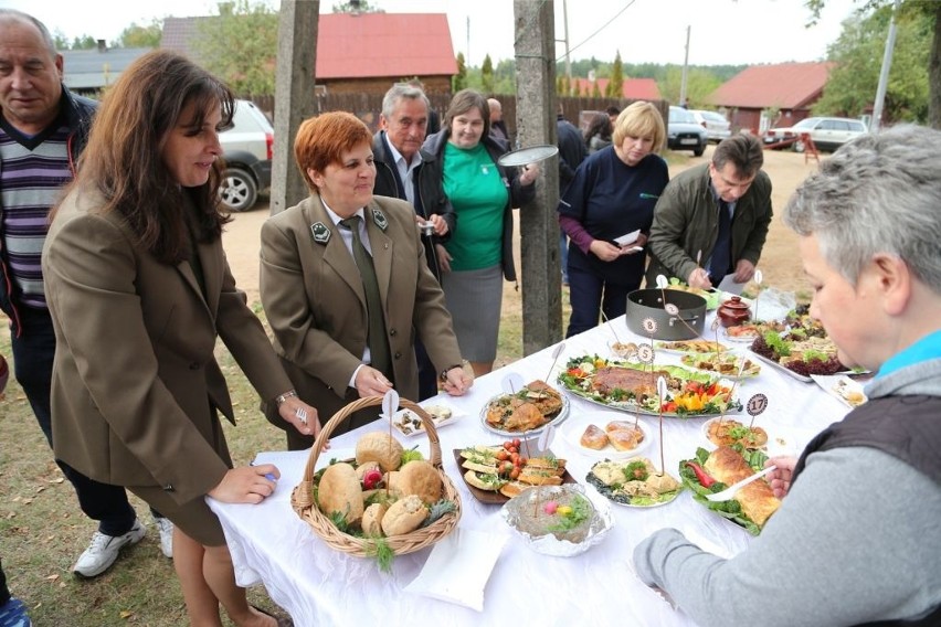 Sokole. Święto Grzyba 2015. Szukali grzybów  z porcelany (zdjęcia, wideo)