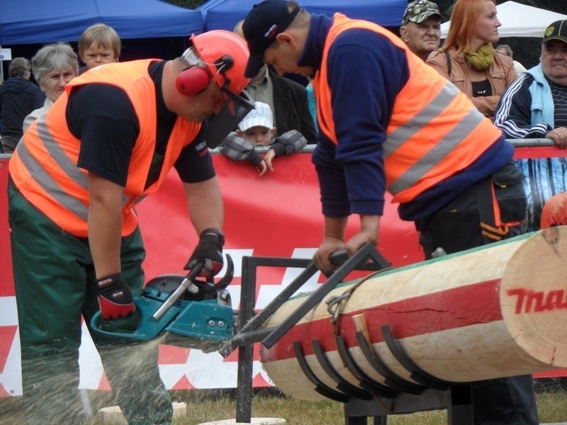 Cietrzewisko 2013 w Koszęcinie