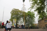 Gigantyczne drzewko majowe stanęło w Kadłubie
