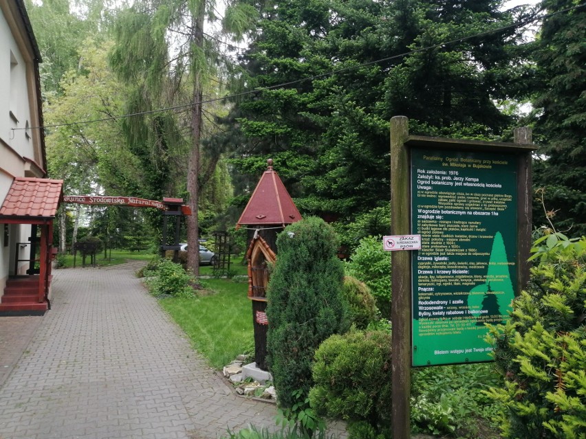 Parafialny ogród botaniczny przy Sanktuarium Matki Bożej w...