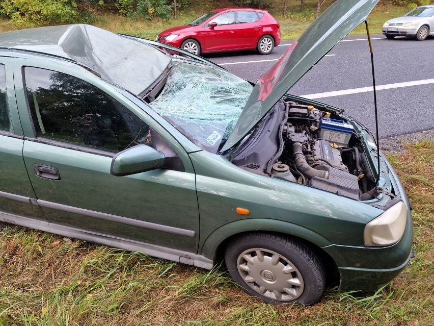 Wypadek na drodze Włocławek - Kowal