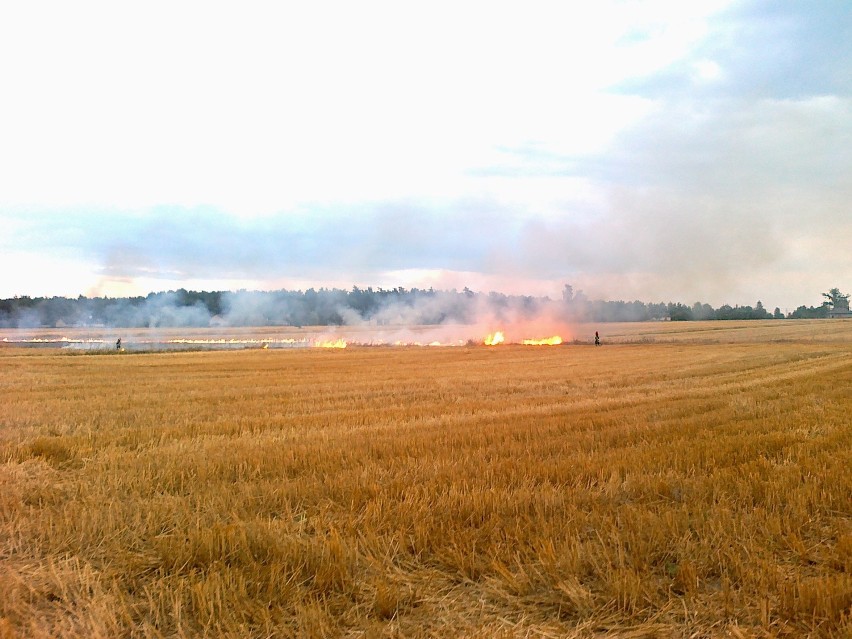 Pożar miał miejsce we wsi Bartodzieje.