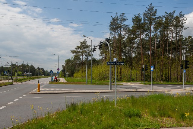 Po uzgodnieniach z władzami Bydgoszczy liczba wyciętych drzew pod parking P&R przy Korfantego w bydgoskim Fordonie ma być mniejsza.