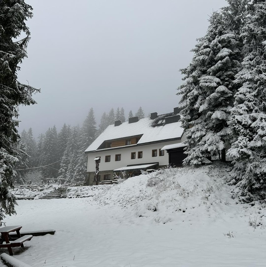W Beskidach spadł śnieg. Możliwe intensywne opady śniegu na południu woj. śląskiego. IMGW ostrzega