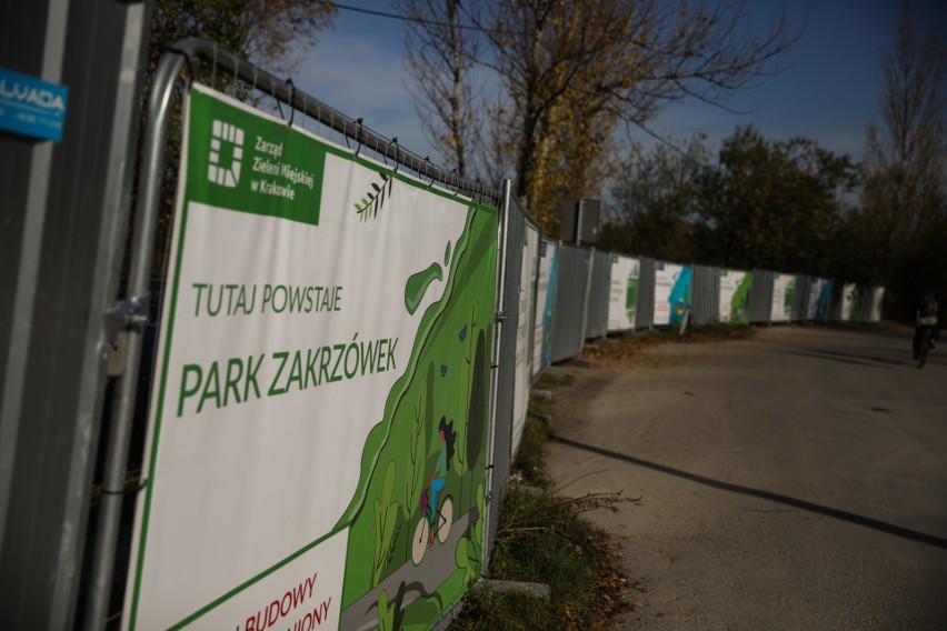 Kraków. Na Zakrzówku powstaje park. Zobacz, jak robotnicy zabezpieczają ściany kamieniołomu [NOWE ZDJĘCIA]