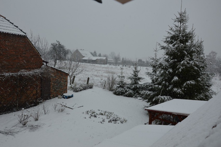 Śnieg pada nieprzerwanie już od 9.00 rano. Zresztą tak...