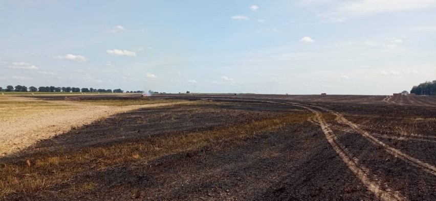 Pożar podczas prac polowych w województwie lubelskim. Straty oszacowano na około 45 tys. złotych.