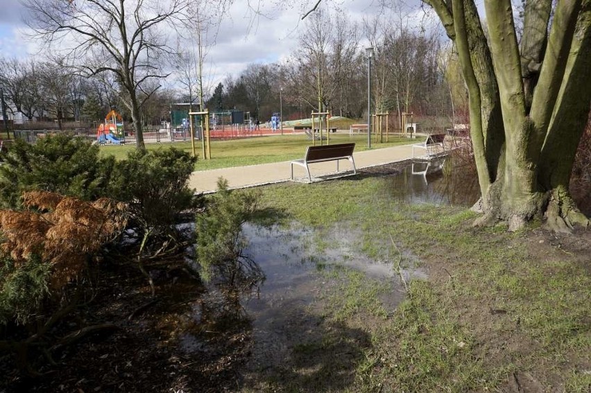 Podtopiony park Wodziczki. Tak ten teren prezentował się w...