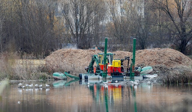 Odmulanie Wisłoka. Trwają prace nad zalewem w Rzeszowie.