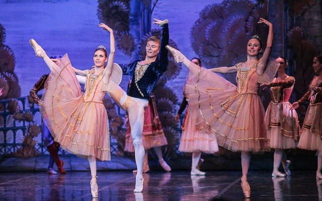 "Jezioro łabędzie" jest najsłynniejszym baletem Piotra Czajkowskiego