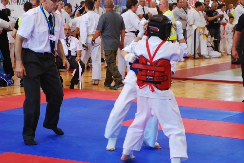 Puchar Śląska karate kyokushin w Rudzie Śląskiej