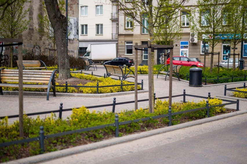 Łódź kwitnie. Zazieleniło się wzdłuż łódzkich ulic ZDJĘCIA