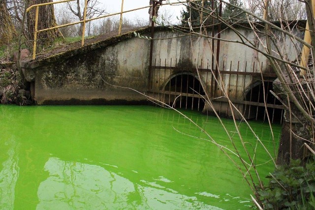 Zielona woda w Słupi, to fluoresceina. Barwnik spożywczy wykorzystywany m.in. do sprawdzania nieszczelności wymienników ciepłej wody.