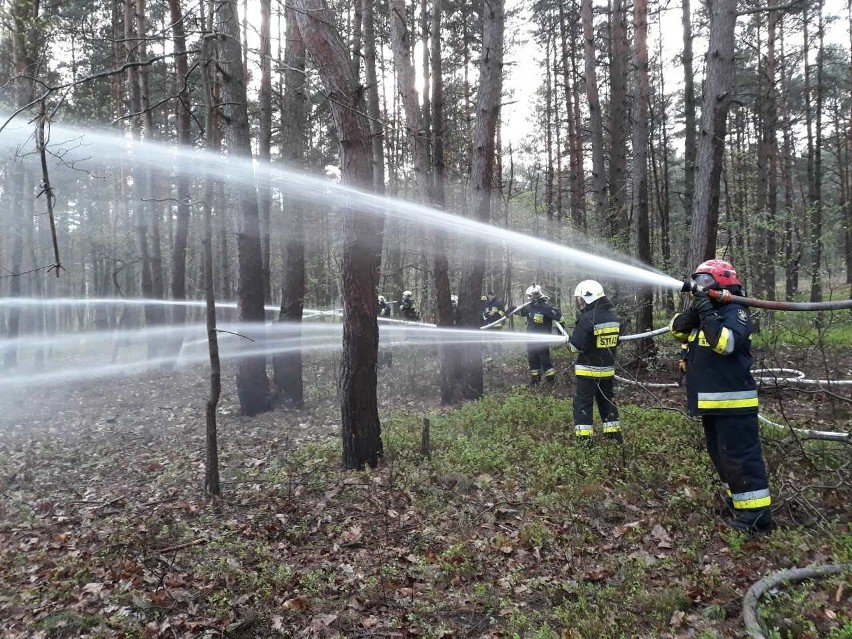 Cyfryzacja zabija strażaków ochotników. Wiele jednostek nie może sobie poradzić z e-dokumentami