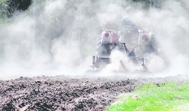 Niedobór opadów w regionie i zimna wiosna opóźniły wegetację