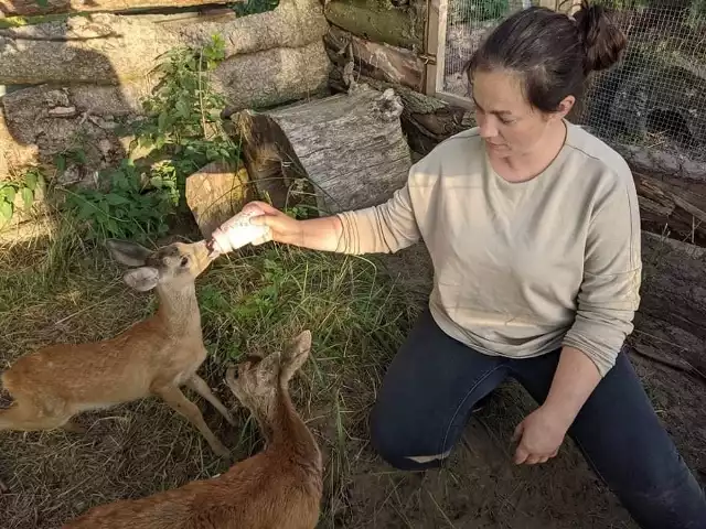 Podopieczni Zwierzogrodu