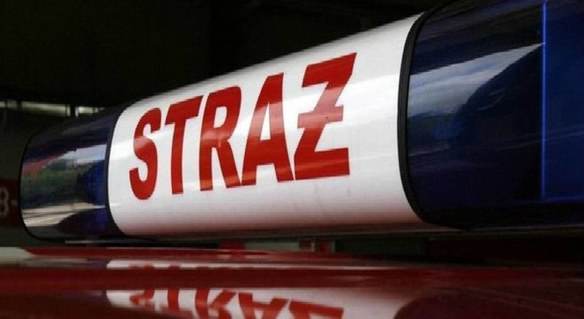 Poznań: Zderzenie dwóch samochodów na ul. Matejki. Jedna osoba została ranna