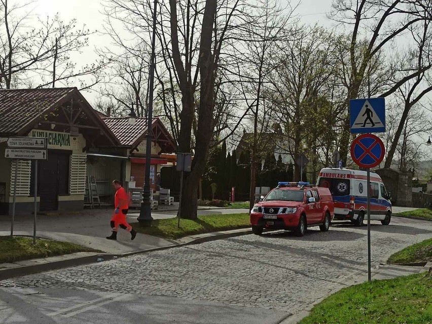 Dramatyczny wypadek w Rabce-Zdrój. Nie żyją trzy osoby przygniecione przez drzewo, w tym 6 letnie dziecko