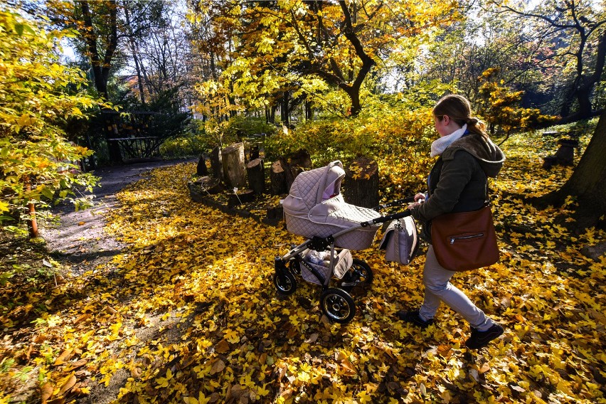 Zmianę pogody mamy odczuć od wtorku. Wówczas słupki rtęci...