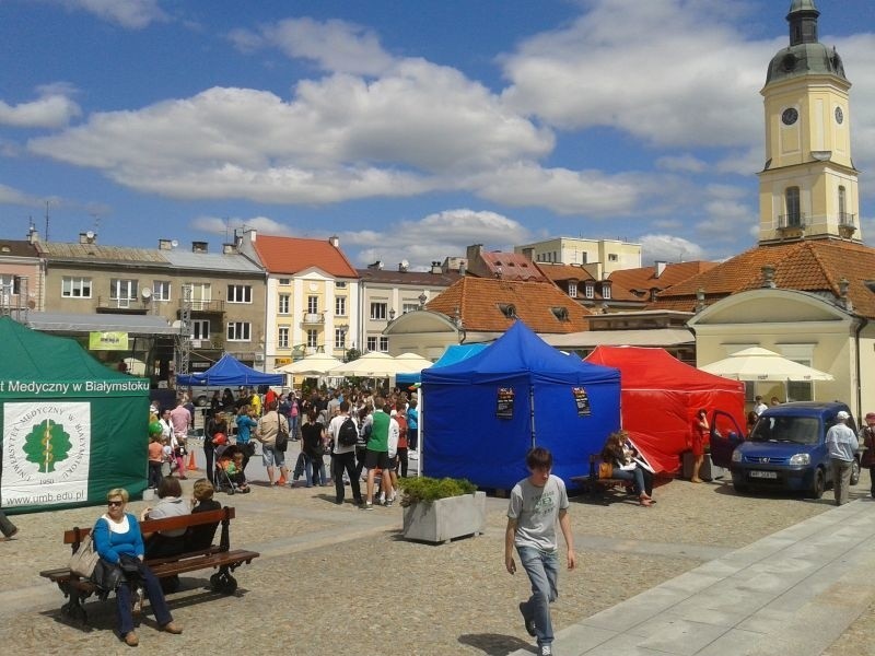 Studencki kociołek na Rynku Kościuszki.