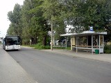 Darmowe autobusy dowiozą na niedzielny koncert na Motoarenie