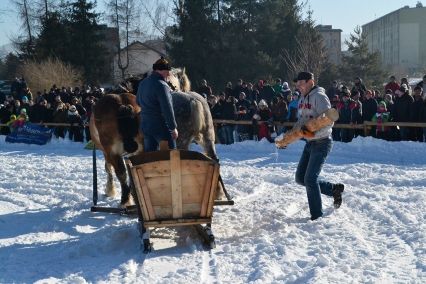 Zawody Furmanów 2017 w Węgierskiej Górce