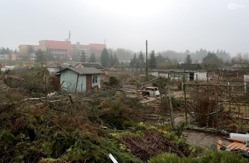 Likwidacja ogródków działkowych przy ul. Arkońskiej w Szczecinie. Co tu powstanie? Zobacz ZDJĘCIA