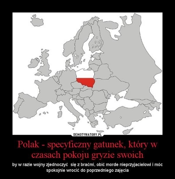 Święto Niepodległości, czyli wojna polsko-polska 11 Listopada [MEMY]