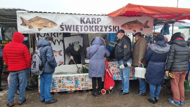 W piątek 10 grudnia na kieleckich bazarach jak zwykle był bardzo duży wybór owoców i warzywa, ale...tym razem oferowano też dużo ryb. Były żywe karpie po 20 złotych - na zdjęciu stoisko ze Śladkowa. Było też wiele innych rodzajów ryb. Mimo świątecznej gorączki nie było wielkiego skoku cen. Nieco droższa była papryka, która osiągnęła cenę 10 złotych. Sporo zdrożały śliwko które kosztowały 6 złotych. Co jeszcze zdrożało lub staniało?Zobaczcie ceny w bazaru w piątek 10 grudnia na kolejnych slajdach