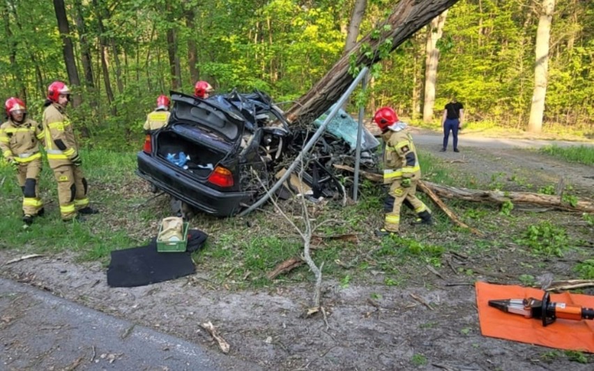 Auto z dużą siłą uderzyło w drzewo