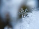 Rozpoczęła się astronomiczna i kalendarzowa zima. Jakie będą jej pierwsze dni? Będzie śnieg na święta Bożego Narodzenia?