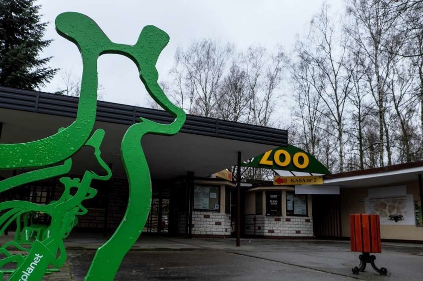 Uwieczniają mieszkańców poznańskiego zoo