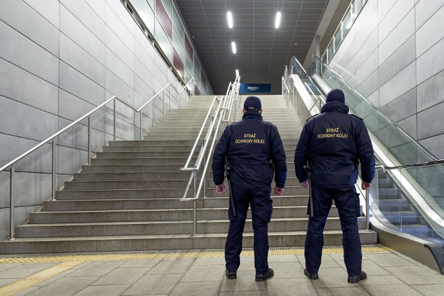Funkcjonariuszom Straży Ochrony Kolei udało się ująć na dworcu Poznań Główny jednego ze sprawców pobicia i kradzieży na 16-latku.